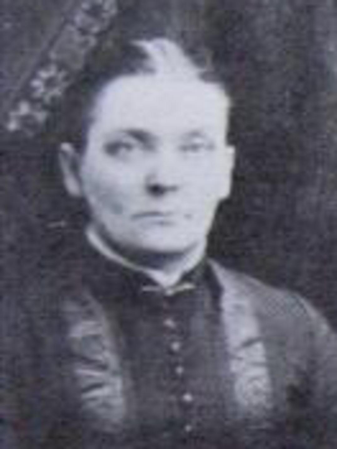 Sarah Rebecca Davis (1848 - 1935) Profile